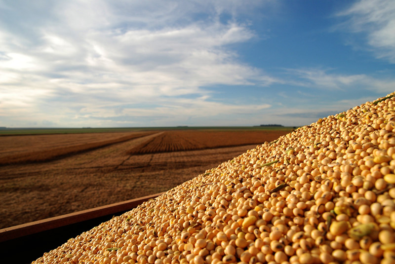 2121非凡·(中国游)体育官方网站