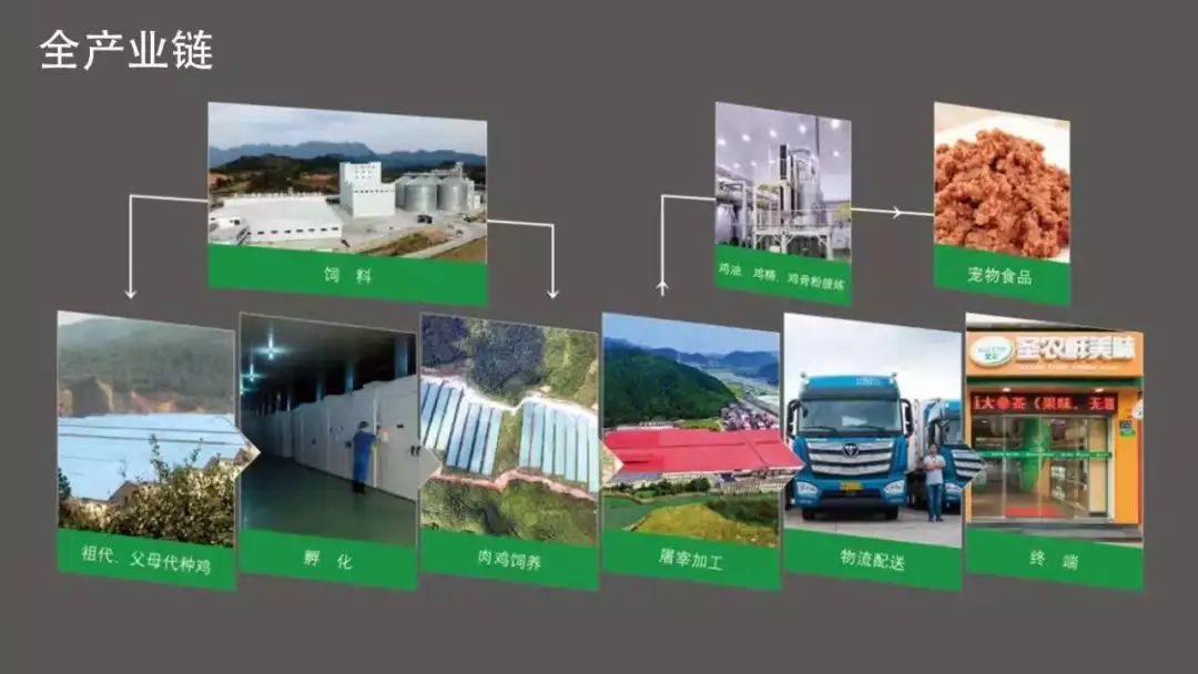 2121非凡·(中国游)体育官方网站