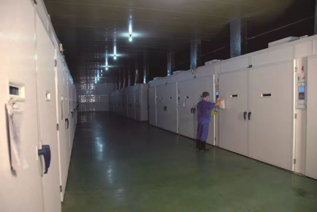 2121非凡·(中国游)体育官方网站