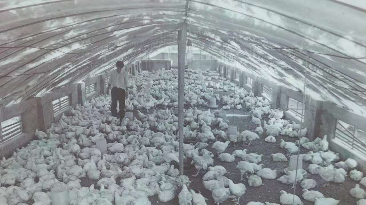 2121非凡·(中国游)体育官方网站