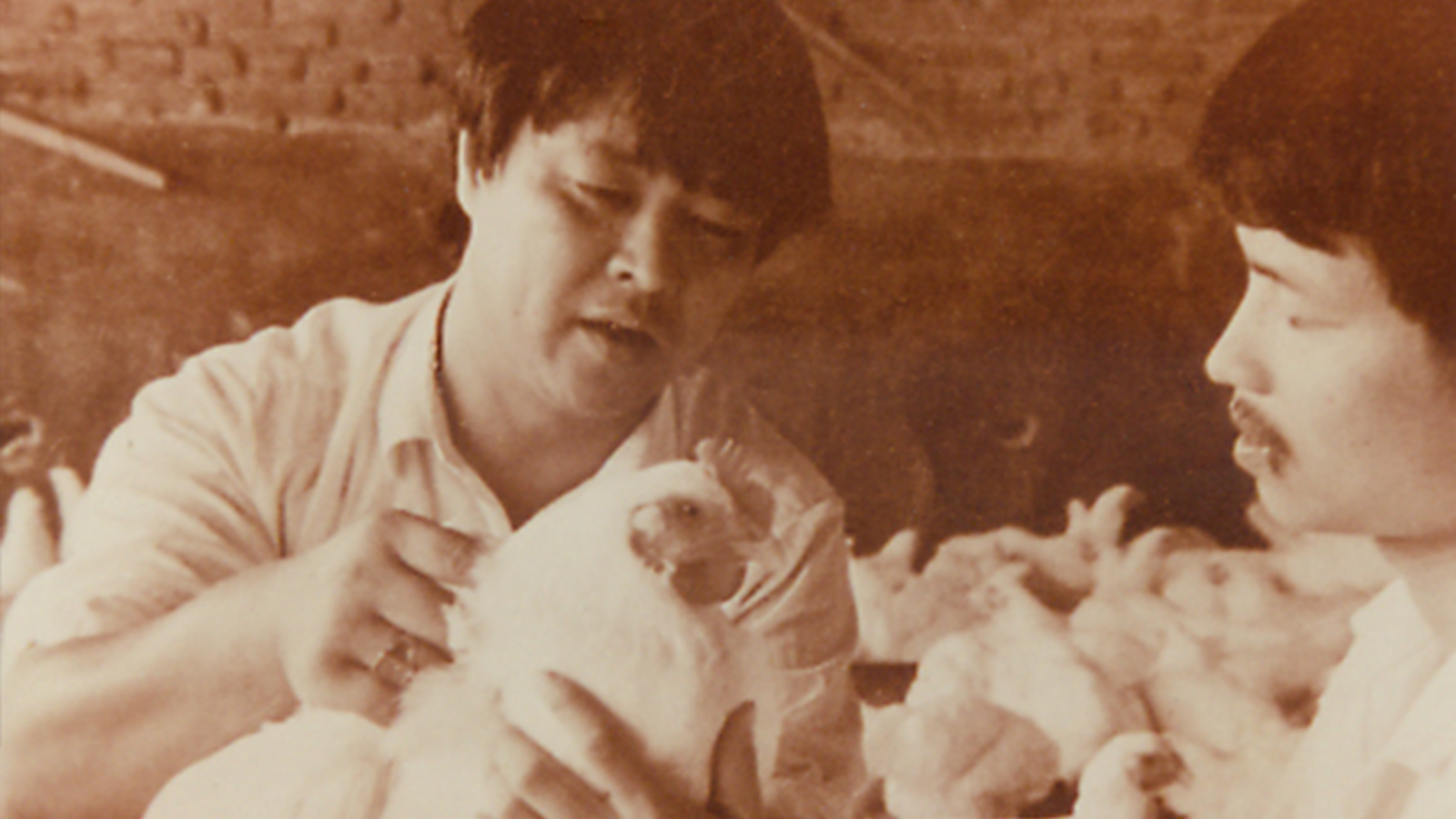 2121非凡·(中国游)体育官方网站