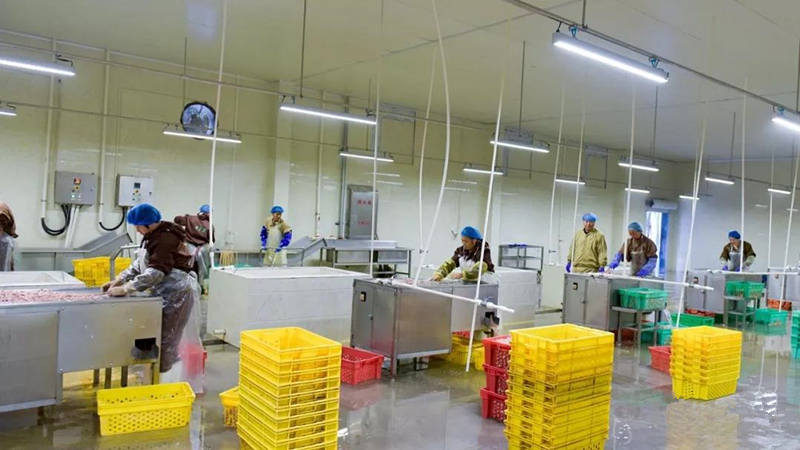 2121非凡·(中国游)体育官方网站