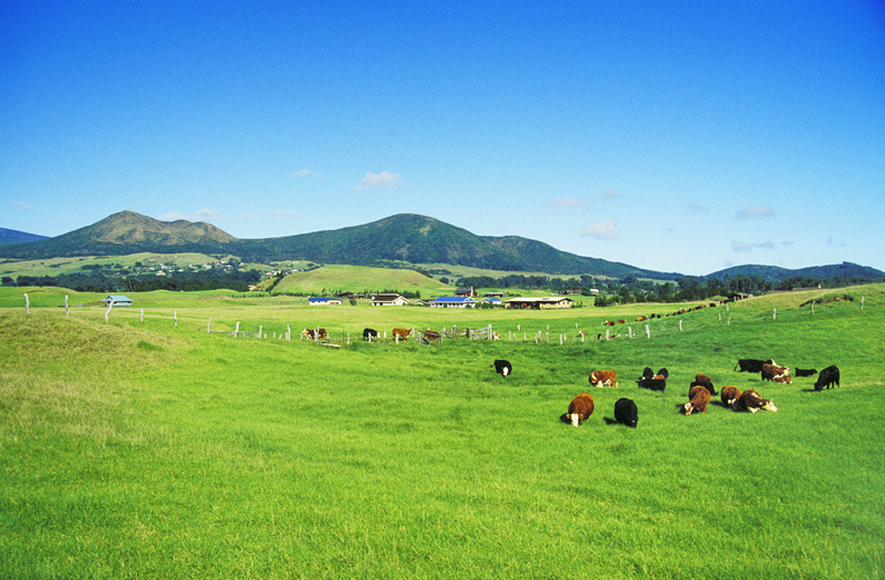 2121非凡·(中国游)体育官方网站