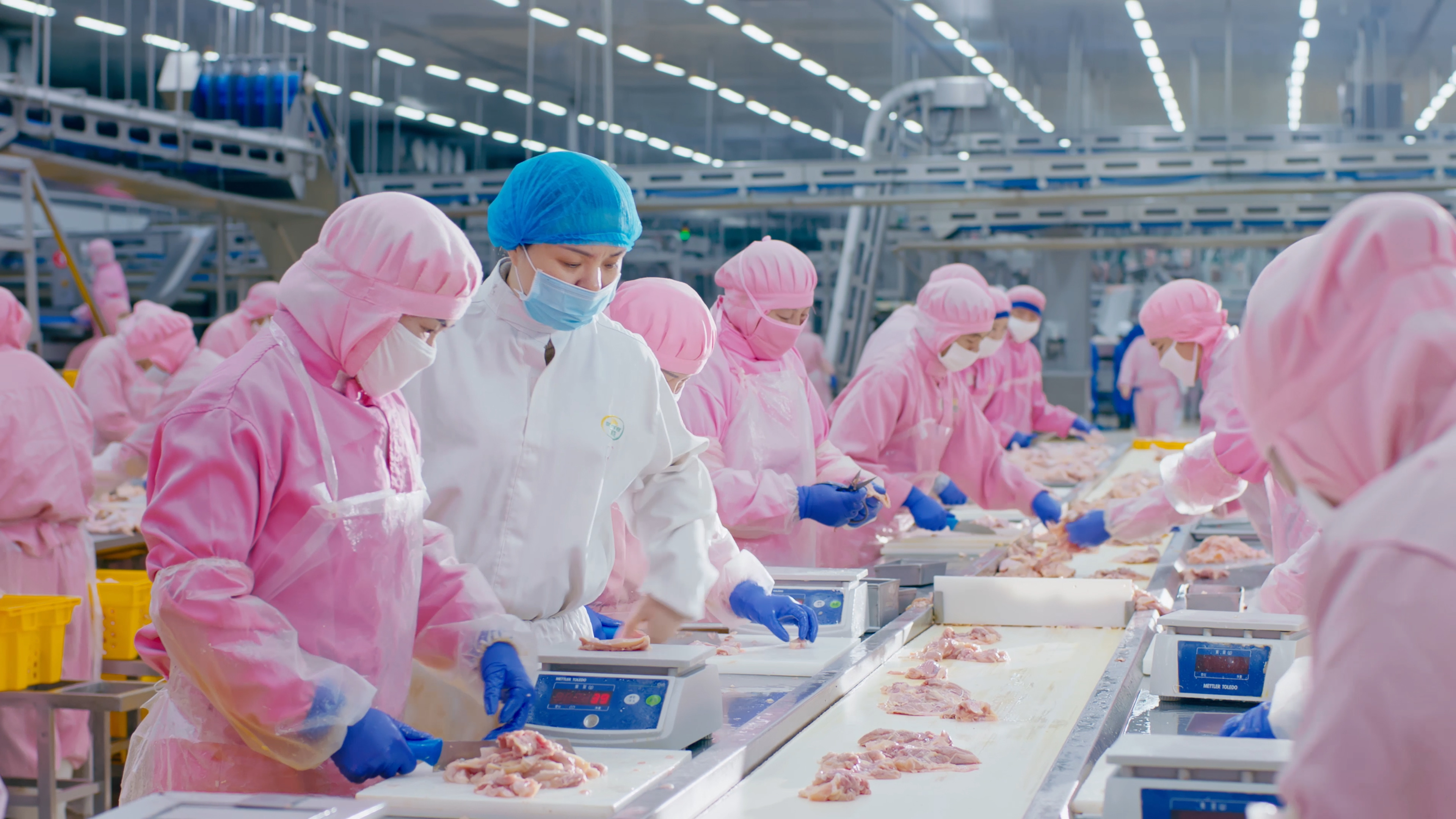 以报答本，携手员工共同成长