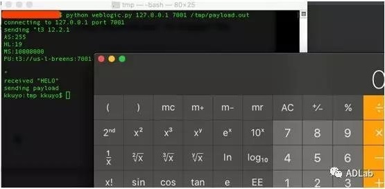 Z6��������ʱ���й������ٷ���վ
