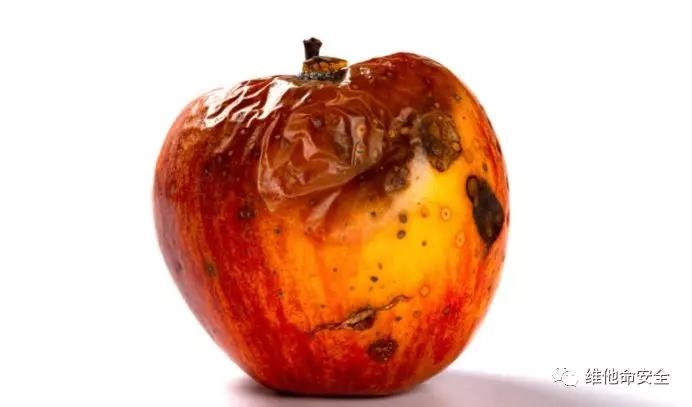 Z6��������ʱ���й������ٷ���վ